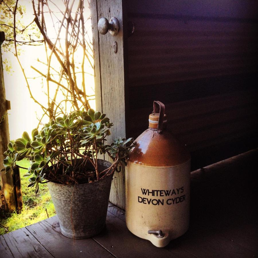 The Potters Garden B&B Rye Exterior photo